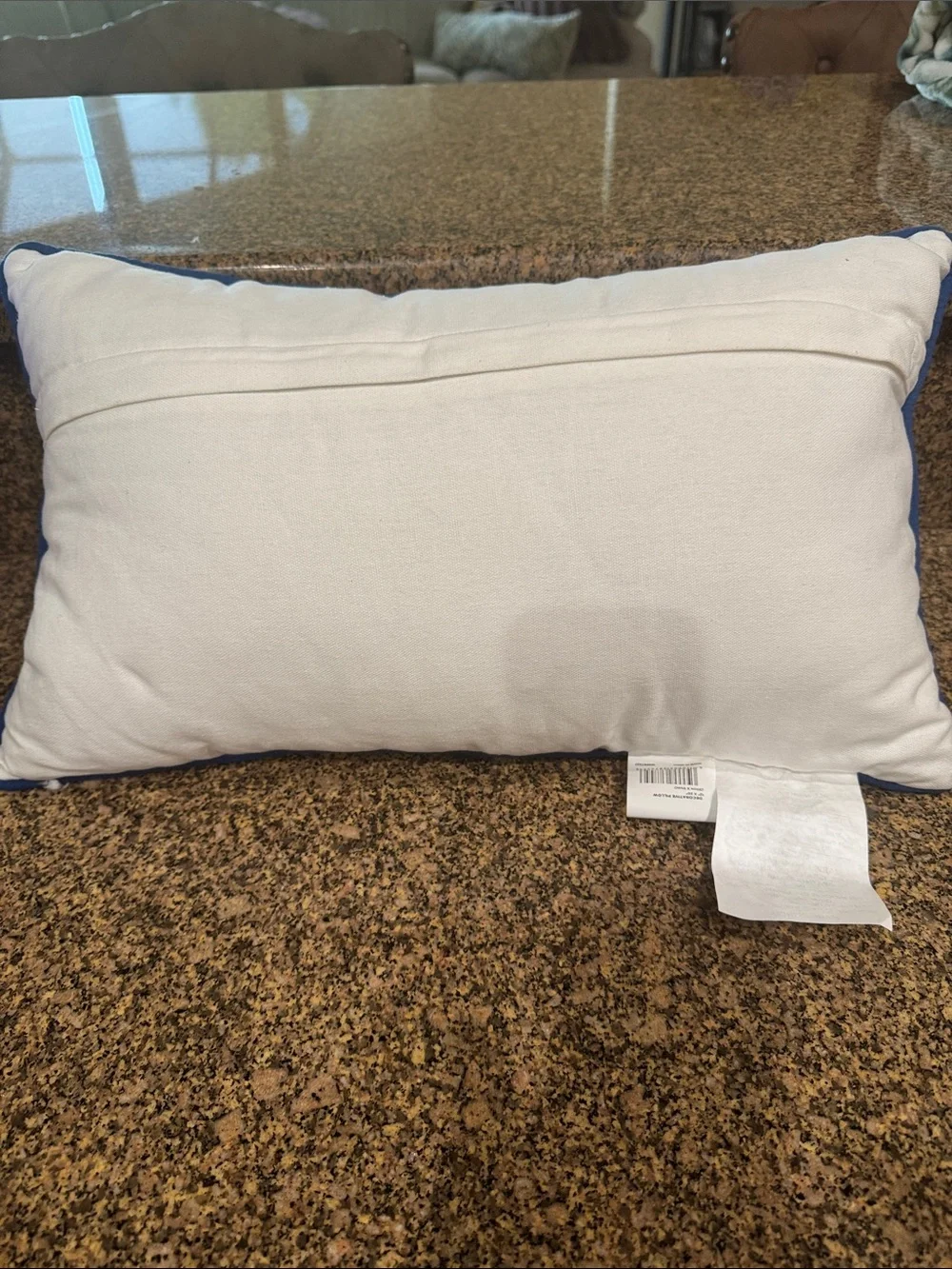 Embroidered Spicy Pillow